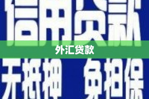 清城外汇贷款