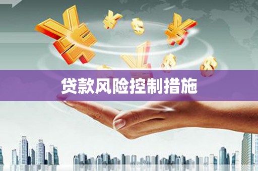 清城贷款风险控制措施