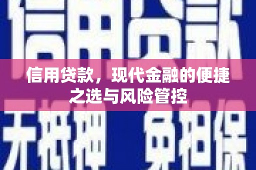 清城信用贷款，现代金融的便捷之选与风险管控
