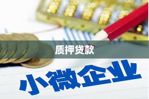 清城质押贷款