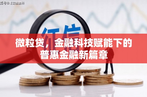 清城微粒贷，金融科技赋能下的普惠金融新篇章