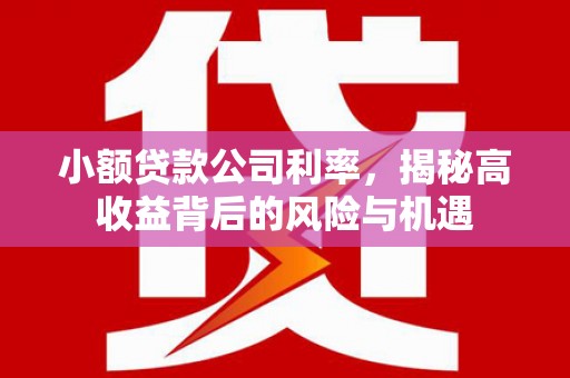 清城小额贷款公司利率，揭秘高收益背后的风险与机遇