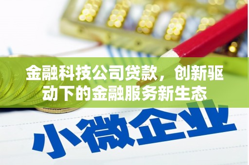 清城金融科技公司贷款，创新驱动下的金融服务新生态