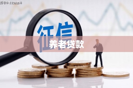 清城养老贷款