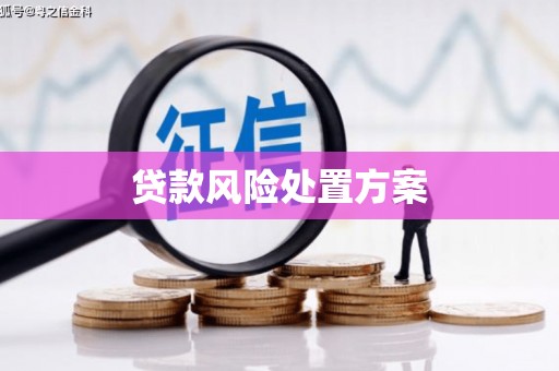 清城贷款风险处置方案