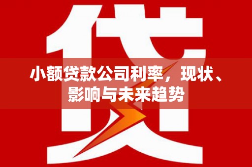 清城小额贷款公司利率，现状、影响与未来趋势