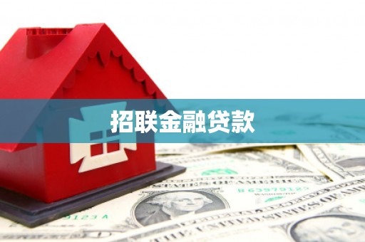 清城招联金融贷款