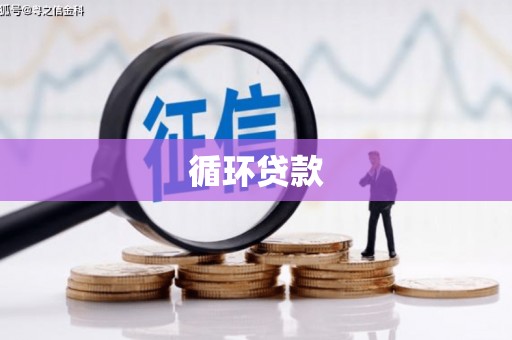 清城循环贷款