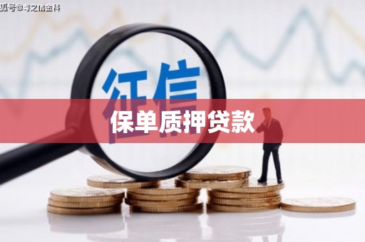 清城保单质押贷款