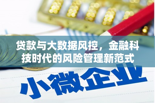 清城贷款与大数据风控，金融科技时代的风险管理新范式