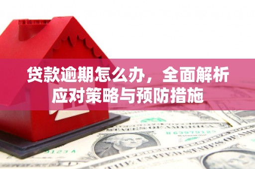 清城贷款逾期怎么办，全面解析应对策略与预防措施