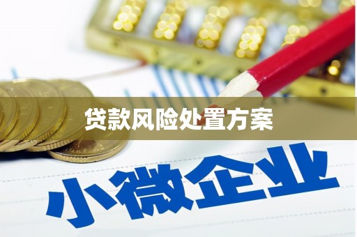 清城贷款风险处置方案