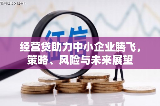 清城经营贷助力中小企业腾飞，策略、风险与未来展望