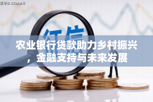 清城农业银行贷款助力乡村振兴，金融支持与未来发展