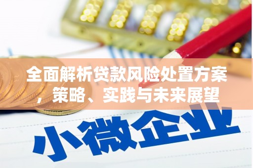 清城全面解析贷款风险处置方案，策略、实践与未来展望