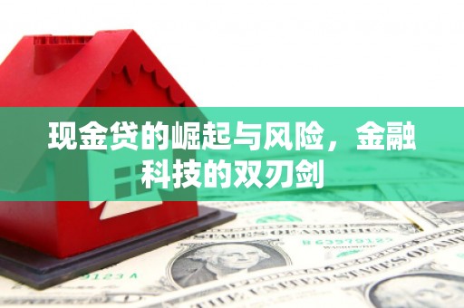 清城现金贷的崛起与风险，金融科技的双刃剑