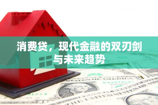 清城消费贷，现代金融的双刃剑与未来趋势