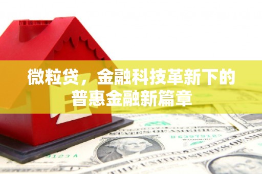 清城微粒贷，金融科技革新下的普惠金融新篇章