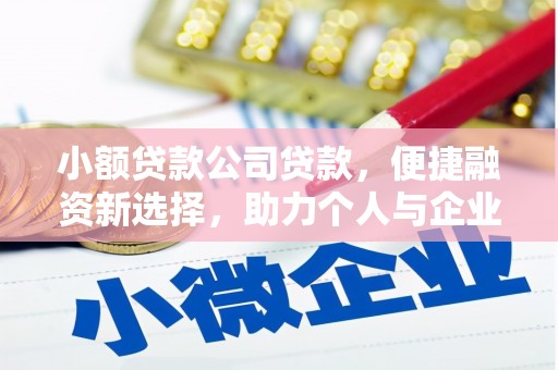 清城小额贷款公司贷款，便捷融资新选择，助力个人与企业成长