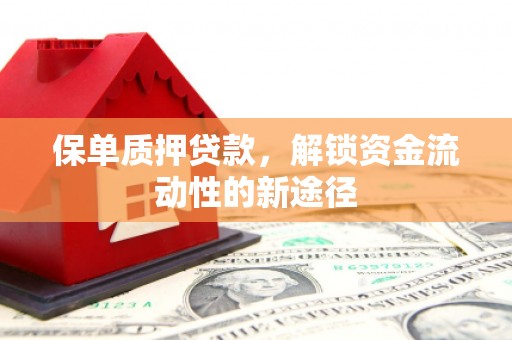 清城保单质押贷款，解锁资金流动性的新途径