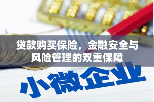 清城贷款购买保险，金融安全与风险管理的双重保障