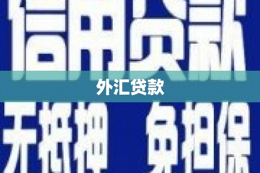 清城外汇贷款
