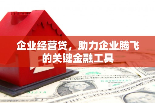 清城企业经营贷，助力企业腾飞的关键金融工具