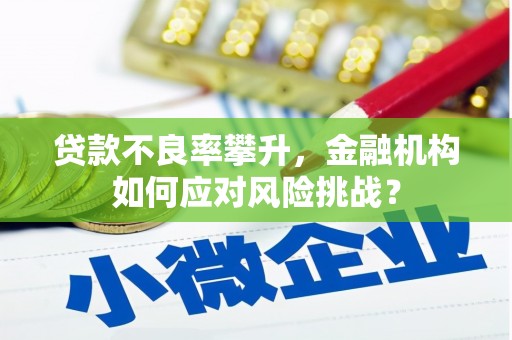 清城贷款不良率攀升，金融机构如何应对风险挑战？