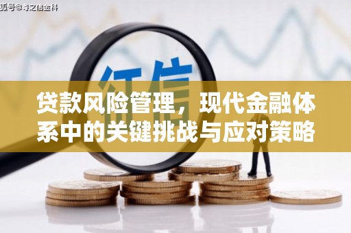 清城贷款风险管理，现代金融体系中的关键挑战与应对策略