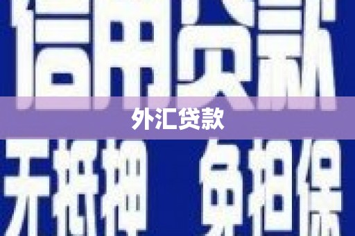 清城外汇贷款
