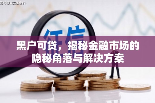清城黑户可贷，揭秘金融市场的隐秘角落与解决方案
