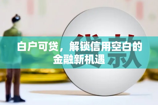 清城白户可贷，解锁信用空白的金融新机遇