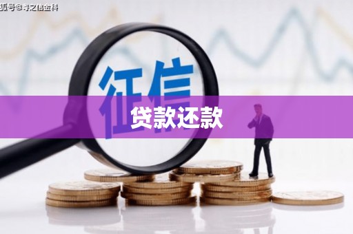 清城贷款还款