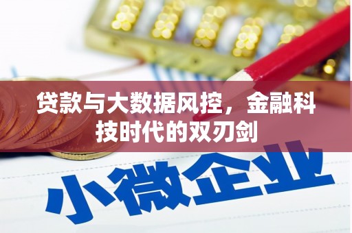 清城贷款与大数据风控，金融科技时代的双刃剑