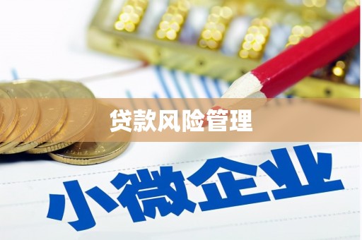 清城贷款风险管理