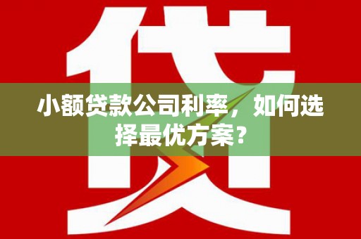 清城小额贷款公司利率，如何选择最优方案？