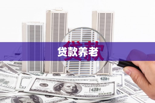 清城贷款养老