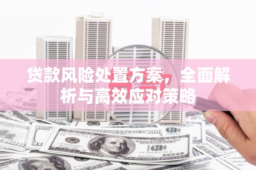 清城贷款风险处置方案，全面解析与高效应对策略