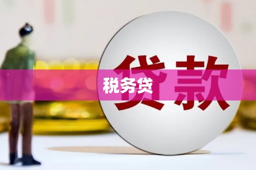 清城税务贷
