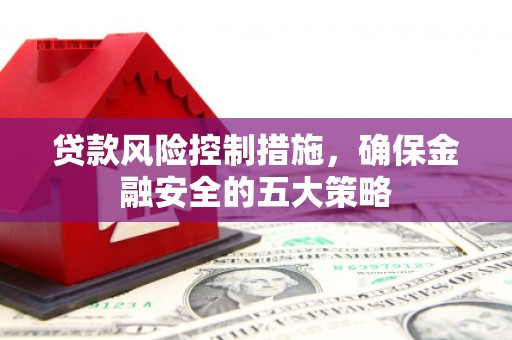 清城贷款风险控制措施，确保金融安全的五大策略