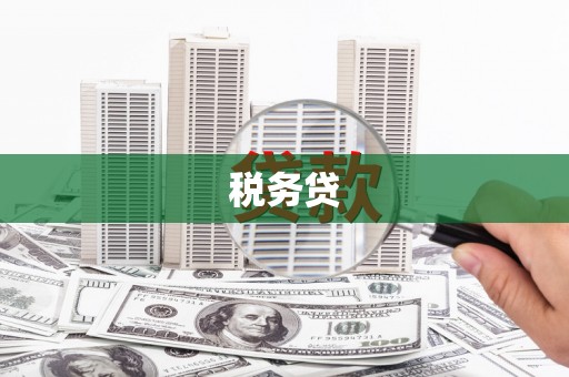 清城税务贷