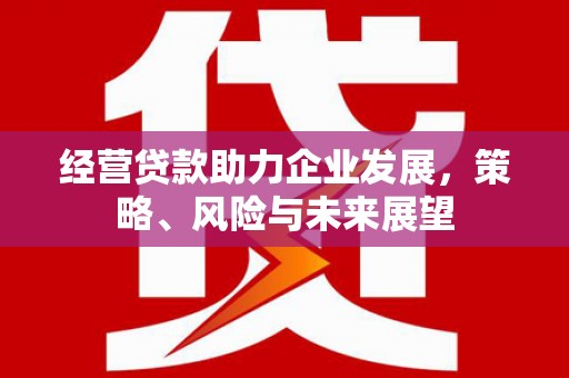 清城经营贷款助力企业发展，策略、风险与未来展望