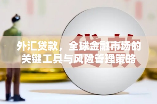 清城外汇贷款，全球金融市场的关键工具与风险管理策略