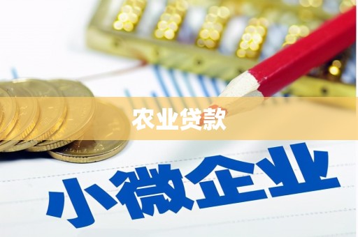 清城农业贷款