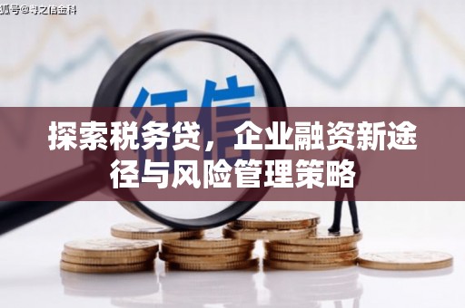 清城探索税务贷，企业融资新途径与风险管理策略