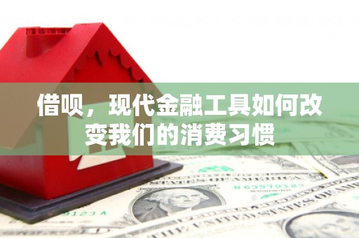 清城借呗，现代金融工具如何改变我们的消费习惯
