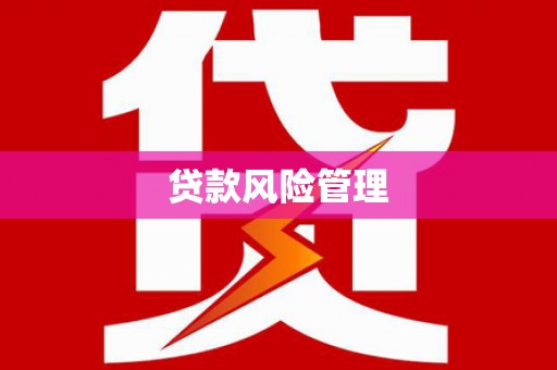 清城贷款风险管理