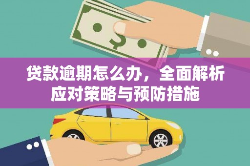 清城贷款逾期怎么办，全面解析应对策略与预防措施