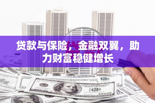 清城贷款与保险，金融双翼，助力财富稳健增长