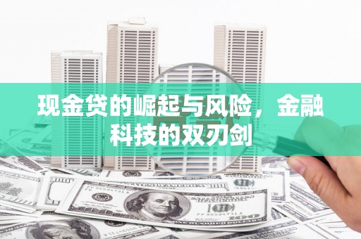 清城现金贷的崛起与风险，金融科技的双刃剑